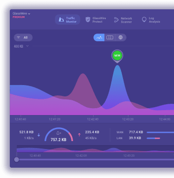 GlassWire Network Graph